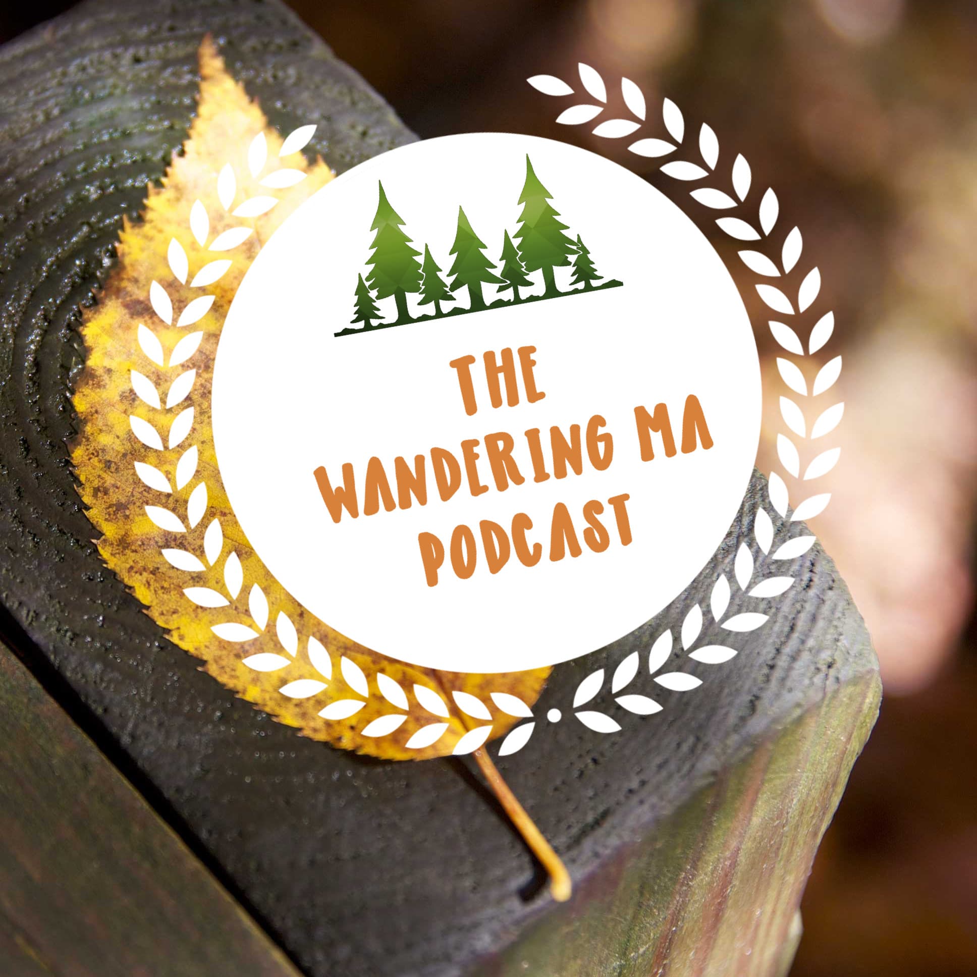 Ep. 7 Esther Nagle - Using The Breath in ADHD